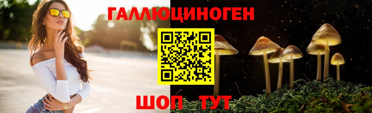 Псилоцибиновые грибы прущие грибы Заводоуковск